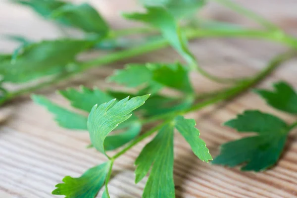 Bunch Fresh Lovage Leaves Wooden Table Macro — Stock Photo, Image