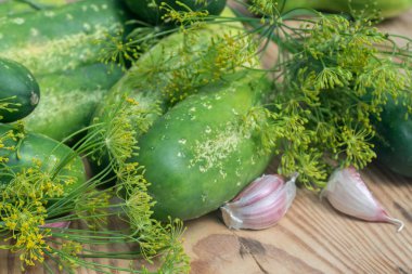 taze salatalık sarımsak ve dereotu ahşap tablo