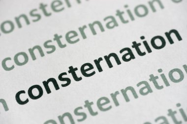 beyaz kağıt makro üzerinde basılı kelime dehşet