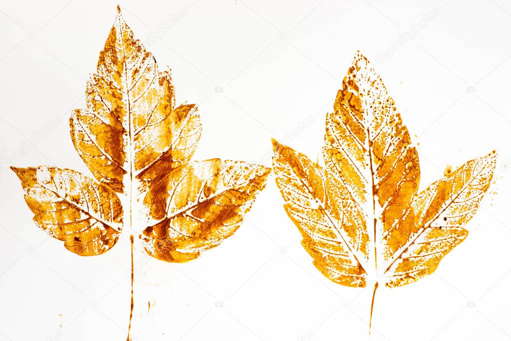 fall leaf print on white paper
