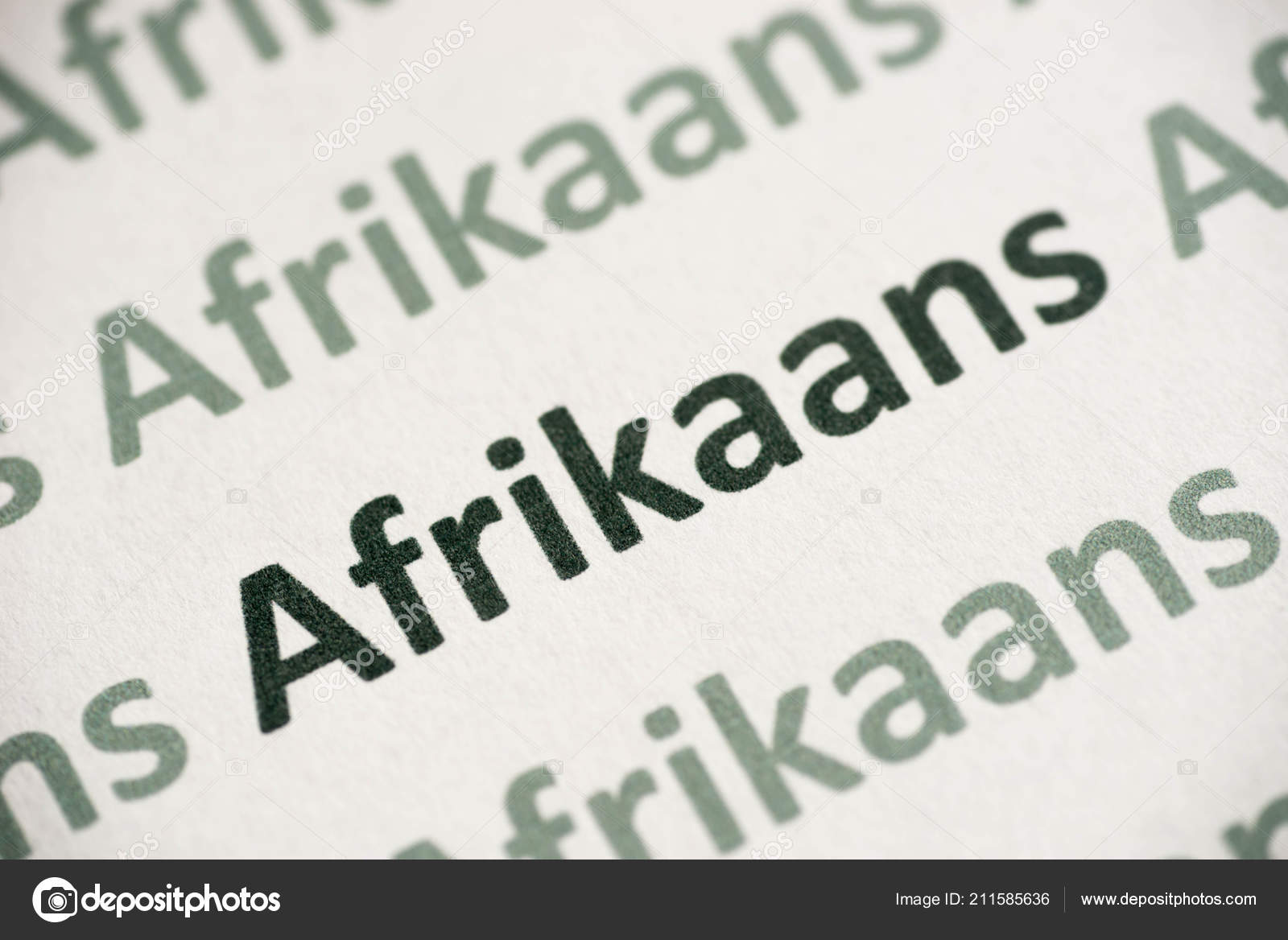 afrikaans taal afrikaans taal