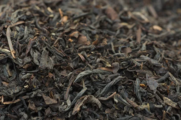 Sušené Selektivní ostření makro čajové listy — Stock fotografie
