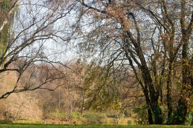 Sonbahar sahne güneşli Park