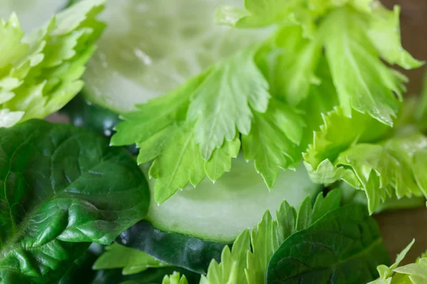 Fresh Green Vegetables Macro Celery Cucumber Spinach — Stock Photo, Image