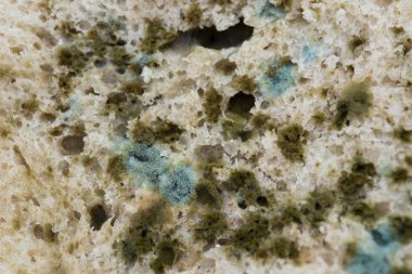 kalıp ekmek dilimi makro