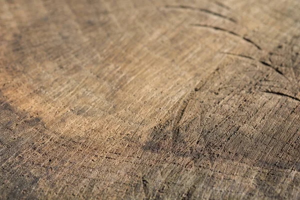 Вырезать фоновую текстуру дерева — стоковое фото