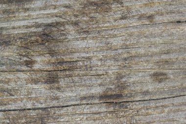 ahşap tahta arka plan doku yıpranmış 