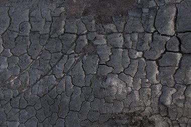 Ağaç kabuğu arka plan doku yanmış 