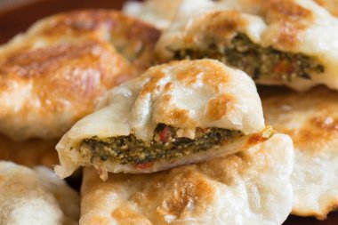 tabak üzerinde kızarmış vejetaryen Dumpling 