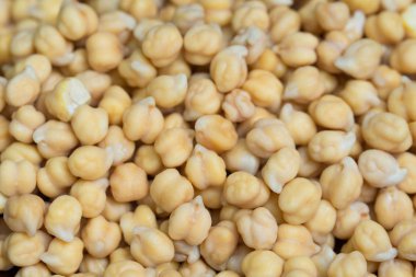 çiğ ıslak organik nohut