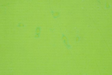 yeşil plastik kirli arka plan dokusu