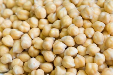 Nohut (Cicer arietinum) tabağa yakın seçici odak
