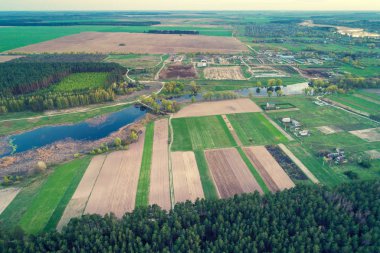 Tarıma elverişli alanların, çam ormanları ve countrysides havadan görünümü