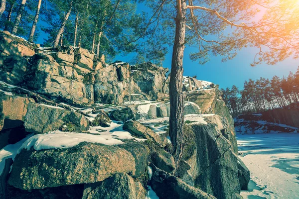 Kayalık Kışın Gölün Kıyısında Donmuş Göl Ormanın Içinde Pines Bir — Stok fotoğraf