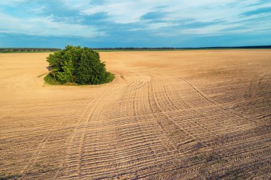 Tarıma elverişli alan bahar hava görünümünü. Sürülmüş bir alanın ortasında ağaç