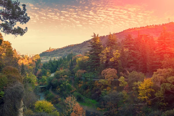 Vista Panoramica Dell Orto Botanico Nella Città Tbilisi Tramonto Paese — Foto Stock