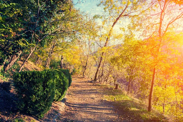 Jardim Botânico Cidade Tbilisi Pôr Sol Geórgia — Fotografia de Stock