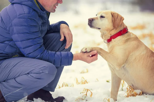 Humano Cão São Melhores Amigos Homem Com Cão Sentado Campo — Fotografia de Stock