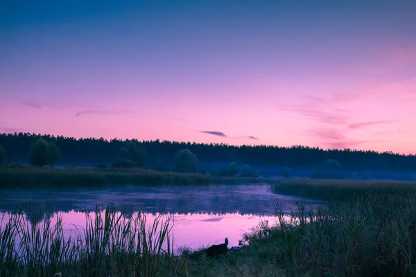 Göl Üzerinde Büyülü Mor Gündoğumu Puslu Sabah Kırsal Manzara Vahşi — Stok fotoğraf