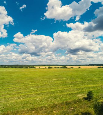 Havadan görünümü tarıma elverişli alanların, güneşli günde countrysides. Mavi gökyüzü güzel bulutlar ile
