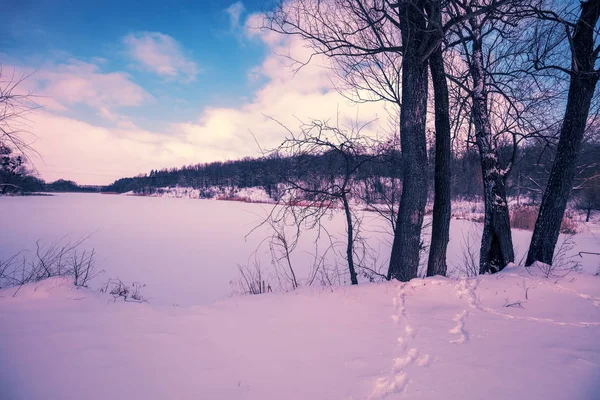 Frozen lake in winter. Lake covered with snow