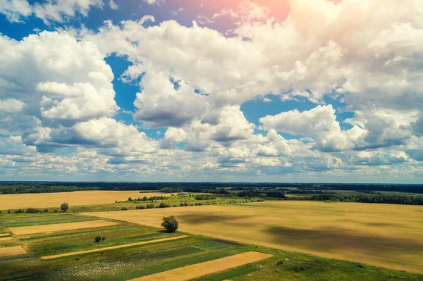 Vista Aérea Drones Campos Cultivo Plantación Campo Paisaje Rural Con — Foto de Stock