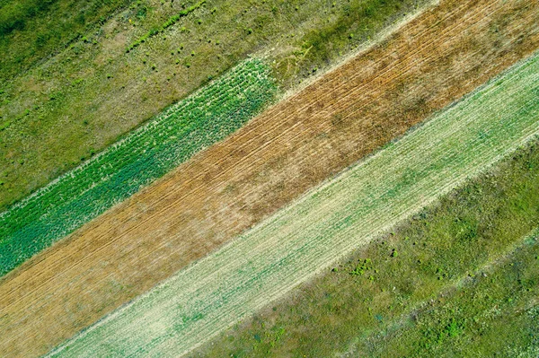 Luftaufnahme Geometrischer Weizenfelder Abstrakter Natürlicher Hintergrund — Stockfoto