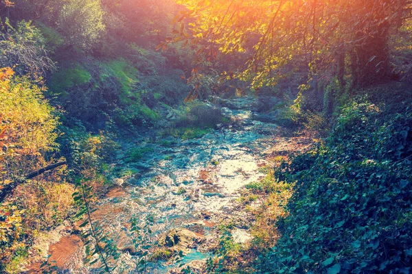 Park near Tbilisi city in autumn. Mountain river. Georgia country