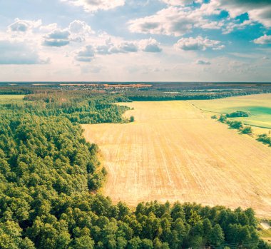 Hava dron kırsal, tarıma uygun alan ve orman görünümünü. Güzel bulutlu gökyüzü ile kırsal manzara