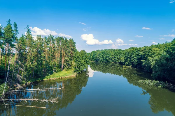 Vista Aérea Lago Calmo Floresta Bela Natureza Selvagem — Fotografia de Stock