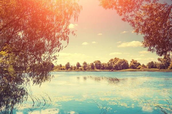 Shore Lake Bright Sunny Day — Stock Photo, Image