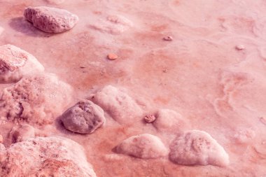 Ölü deniz tuzlu shore. Marsala renk