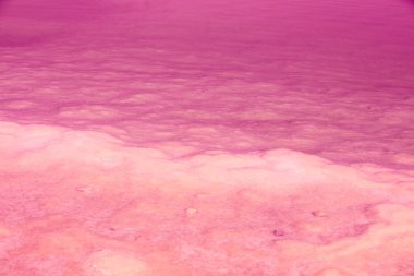 Tuzlu bir pembe gölün kıyısında