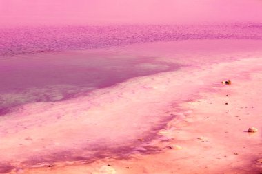 Tuzlu bir pembe gölün kıyısında