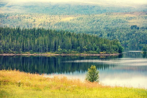 Panoramic View Fjord Beautiful Nature Norway — Stock Photo, Image