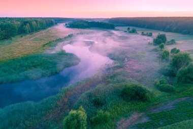 Havadan görünümü kırsal ve puslu sabah nehirde. Ağaçlar Nehri boyunca. Zaman güneş doğmadan önce. Yukarıdan görüntülemek