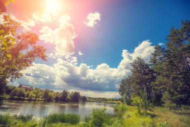 Ağaçları ile göl manzarası sahilde. Vahşi, güzel doğası, mavi gökyüzü ile göl