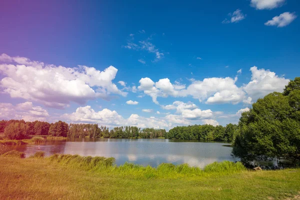 Lakeshore Com Céu Azul Bela Natureza Selvagem — Fotografia de Stock
