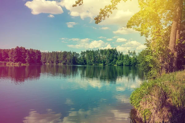 Yansıma ve mavi gökyüzü göl. Orman göl kıyısında. Güzel vahşi