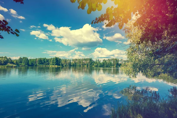 Yansıma ve mavi gökyüzü göl. Orman göl kıyısında. Güzel vahşi