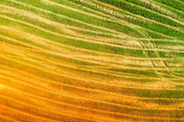 Abstract Natural Background Aerial View Geometric Wheat Fields Gradient Orange — Stock Photo, Image