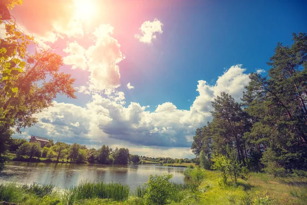 Ağaçları ile göl manzarası sahilde. Vahşi, güzel doğası, mavi gökyüzü ile göl