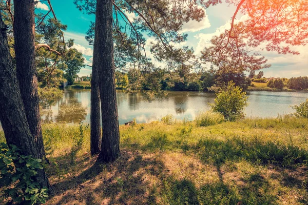 Ormandaki göl manzarası. Vahşi, güzel doğası. Mavi gökyüzü ile göl