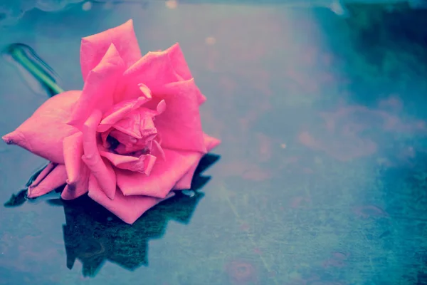 Σύνθεση Από Νερό Μέταλλο Και Λουλούδι Αφηρημένο Grunge Ρομαντικό Υπόβαθρο — Φωτογραφία Αρχείου