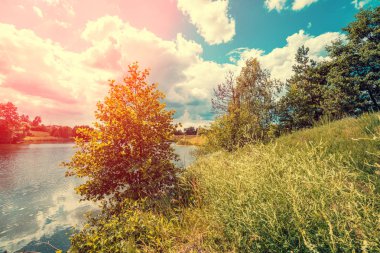 Ağaçları ile göl manzarası sahilde. Vahşi, güzel doğası, mavi gökyüzü ile göl