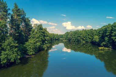 Ormanın içinde sakin göl manzarası. Güzel vahşi