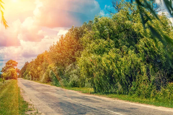 Paisaje Rural Camino Rural Con Árboles Carretera Verano Hermoso Cielo — Foto de Stock