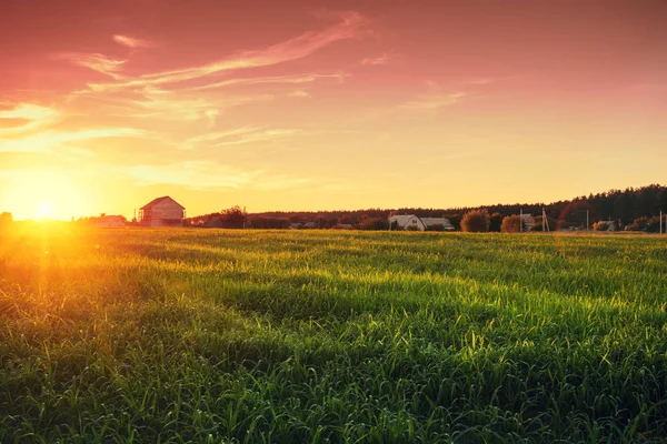 Ländliche Landschaft Mit Schönem Gefälle Abendhimmel Bei Sonnenuntergang Grüne Wiese — Stockfoto