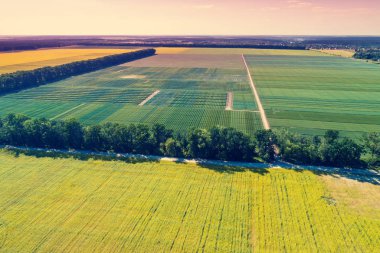 Havadan görünümü ve kırsal ve ekilen alanların. Güneşli bir günde kırsal manzara