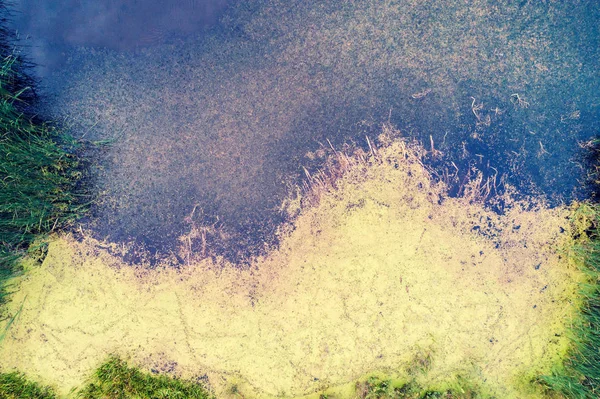 Natuurlijke Abstracte Achtergrond Wetland Bog Oppervlak — Stockfoto